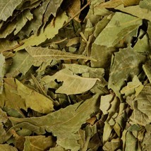 Neem leaf  (from Azadirachta indica, healing, antimicrobial, and detoxif... - $173.76 MXN