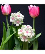 Vintage Plastic Flowers Clip On Earrings  - $45.89