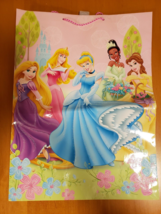 Disney Princess Gift Bag By Expressions From Hallmark - Large - 3JPB228Q - $14.99