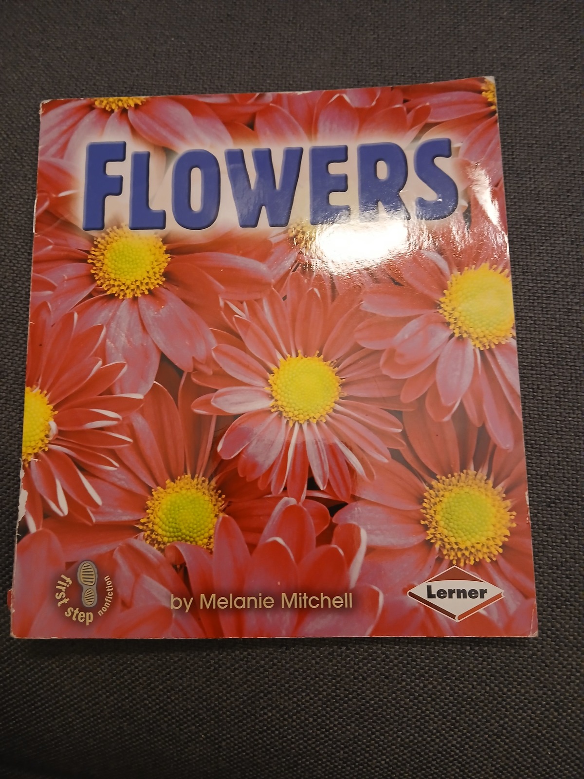 Flowers by Melanie Mitchell, copyright 2004, vintage - $8.00