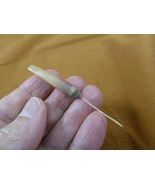 (w32-15) North American Porcupine tail quill Erethizon dorsatum craft su... - $23.00 CAD