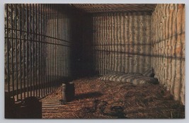 Old Carthage Jail Carthage Illinois Historic Dungeon Cell Vintage Postcard - $6.90