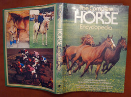 The Complete Horse Encyclopedia Jane Kidd 1976 Salamander Book Equitazione Bello - £13.78 GBP