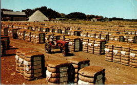 Postcard~Bales of Cotton With Cotton Gin in Background~Postmarked 1965 (B3) - £4.33 GBP