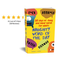 Naughty Word of the Day: 365 days of slang and swear words for adults, S... - $9.00