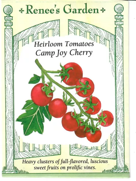 Tomato Camp Joy Cherry Heirloom Vegetable Seeds Fresh Garden - £8.25 GBP