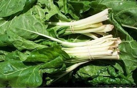 Grow In US 50 Seeds  Swiss Chard Fordhook 50 Seeds  - £6.72 GBP