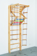 Wooden Sport Ladder w/ Rope Attachments and Monkey Bar for Home Use - $399.00