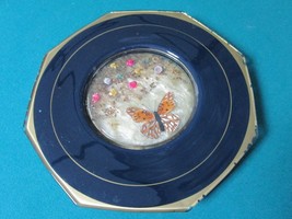 Glass Plate Center Shadow Box Butterfly And Dry Flowers 10&quot; 6 SIDES[*a1] - $34.65