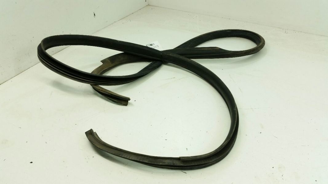 2009 Ford Focus On Body Door Jamb Seal Gasket Front Right Passenger 2008... - $49.79