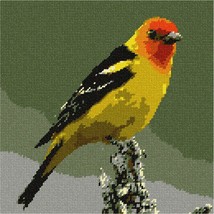 Pepita Needlepoint Canvas: Western Tanager, 10&quot; x 10&quot; - $78.00+