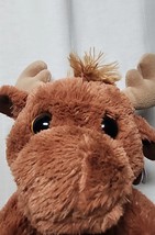 Maple Taddle Toes Maple 10&quot; Aurora Plush Moose  with Original Tags - £10.07 GBP