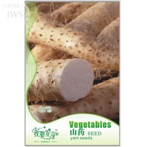 Chinese Yam Perennial Herbal Vegetable Seeds Original Pack 6 Seeds green... - £5.52 GBP