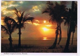 Florida Postcard Beautiful Tropical Sunrise - £2.32 GBP