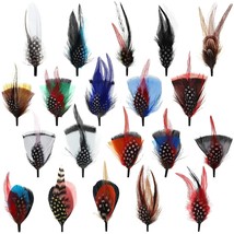 20 Pcs Hat Feathers, Assorted Feathers For Fedora Hats Colorful Real Feathers Ac - £15.84 GBP