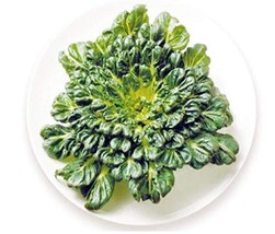 Brassica Narinosa Seed Rapid Growth Nutritious Green Winter Vegetables P... - $6.00