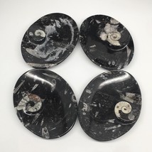 4pcs,6.25&quot;x4.75&quot;x5mm Oval Fossils Orthoceras Ammonite Bowls Dishes,Black, MF1385 - £28.86 GBP