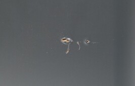 JBL BAR 9.1-Channel Soundbar with Wireless Subwoofer JBLBAR913DBLKAM image 4