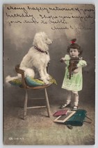 Little Girl Plays Violin To Poodle On Chair Hand Painted Collar Postcard W26 - £15.99 GBP