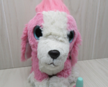 Little Live Pets Scruff-A-Luvs Cutie Cuts Pet Dog Pink Big blue eyes - $15.58