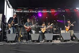 Eric Krasno - Lettuce - 8x10 Color Photograph - $15.99