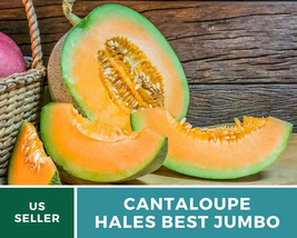 20 Hales Best Jumbo Cantaloupe Seeds Large Organic USA Seller - $4.96