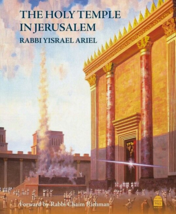 The Holy Temple in Jerusalem explained by Rabbi Yisrael Ariel - Koren  - £36.16 GBP