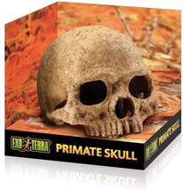 Exo Terra Terrarium Primate Skull Decoration - $77.45