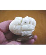 TNE-MOU-442b) MOUSE two 2 mice TAGUA NUT Figurine carving VEGETABLE rode... - £31.58 GBP