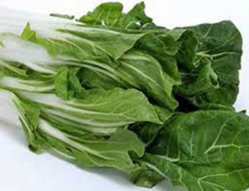 SWISS CHARD SEEDS, LARGE WHITE RIBBED, HEIRLOOM, ORGANIC 25+SEEDS, NON GMO