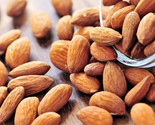 LKS California Almond Seeds 20 Organic Delicious Home Garden - $30.22