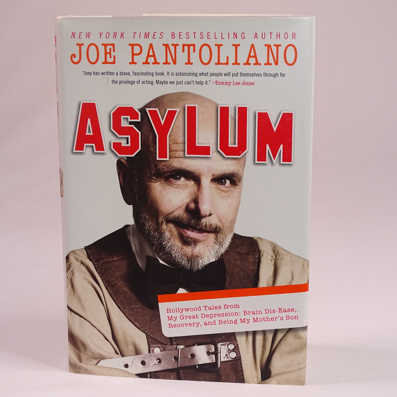 Asylum Brain Dis-Ease Recovery And Being My Mother&#39;s Son By Joey Pantoli... - $3.65