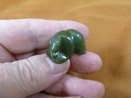 (Y-BEA-507) little green Canadian Jade Bear with fish gemstone FIGURINE ... - $17.53