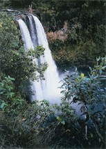 Wailua Falls (Kauai Hawaii) by Barbara Snyder 8 x 10 Photo Signed By  Artist - £15.81 GBP