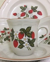Fruit Garden Stoneware 5 Piece Place Setting Service For 1 - $29.69