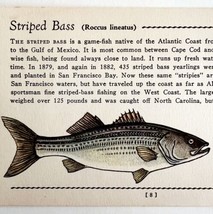 Striped Bass 1939 Salt Water Fish Gordon Ertz Color Plate Print Antique ... - £24.21 GBP