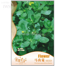 Natural Organic Purslane Seeds 120 Seeds Adaptable And Green Vegetables Iwse004  - $9.86