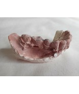 Vintage Cast Dental Teeth Mold  Tooth Castings Medical Oddity #12 - $700.09 MXN