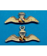 THAILAND, PARACHUTIST, POLICE, PARA WINGS, AIRBORNE, METAL, GROUP OF 2 - $24.75