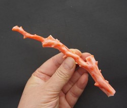 Huge Piece of Natural Rich Pink Coral Branch Specimen 5.5&quot; 30.8 Grams - £468.03 GBP