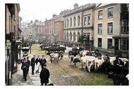 ptc2491 - Yorks. - An early view of Knaresborough Cattle Market c1905, p... - £2.20 GBP