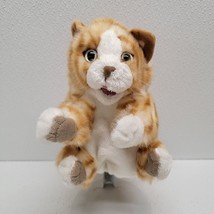 Folkmanis Orange Tabby Kitten Cat Hand Puppet Realistic Full Body Plush - €12,62 EUR