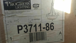 Burnished Chestnut Ceiling Hanging Pendant Light Progress Lighting P3711-86 - £90.82 GBP