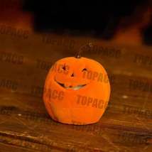 Pumpkin Ring Box - $15.98