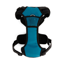 EveryYay Embrace the Pace Teal Reflective Dog Harness, Large / X-Large - £32.47 GBP