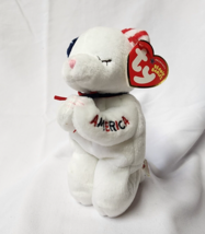 TY Beanie Baby American Blessing Praying Bear 6&quot; - $12.86