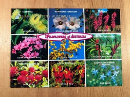 Vintage Postcard - Wildflowers of Australia - 5.5&quot; x 4&quot; - £3.73 GBP