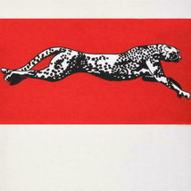 Just Cavalli Mens T- Shirt Cheetah Print S / S Crew Neck 100% Authentic Medium - £29.78 GBP
