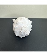 VTG White Lightening Whelk Conch Seashell 6” Sea Shell Ocean Swirl Point... - $534.42 MXN