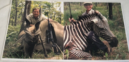 21 Vintg Big Game Hunter Photographs Elk Zebra Moose Bear Crocodile Musk Ox Etc - £43.52 GBP